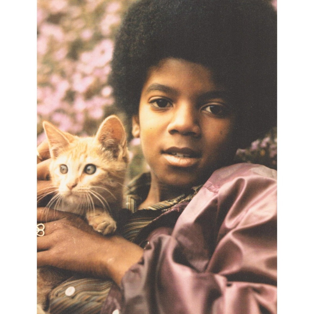 Michael Jackson c1970s Young Portrait Kitten Jackson 5 Motown Era Magazine Print
